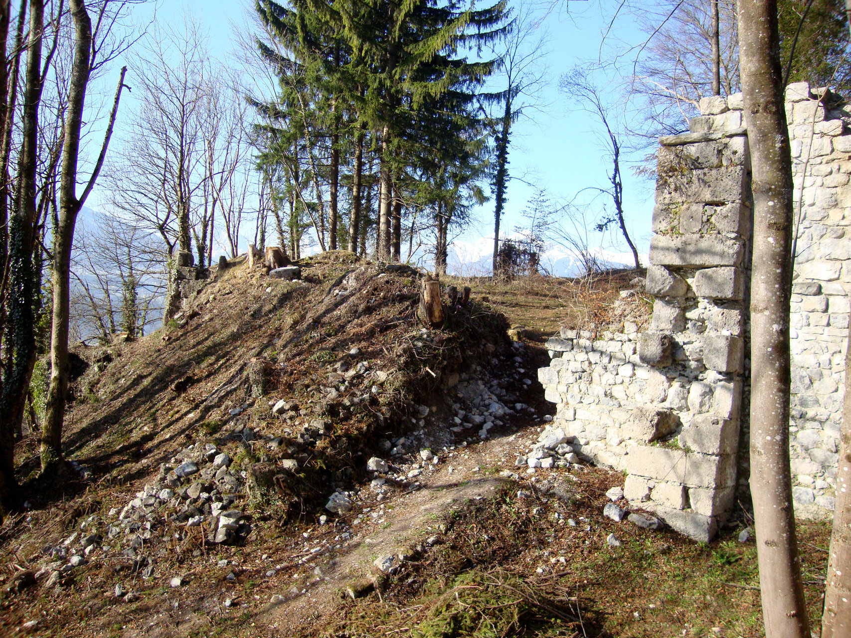 BILDERGALERIE 8 Ruine Thaur