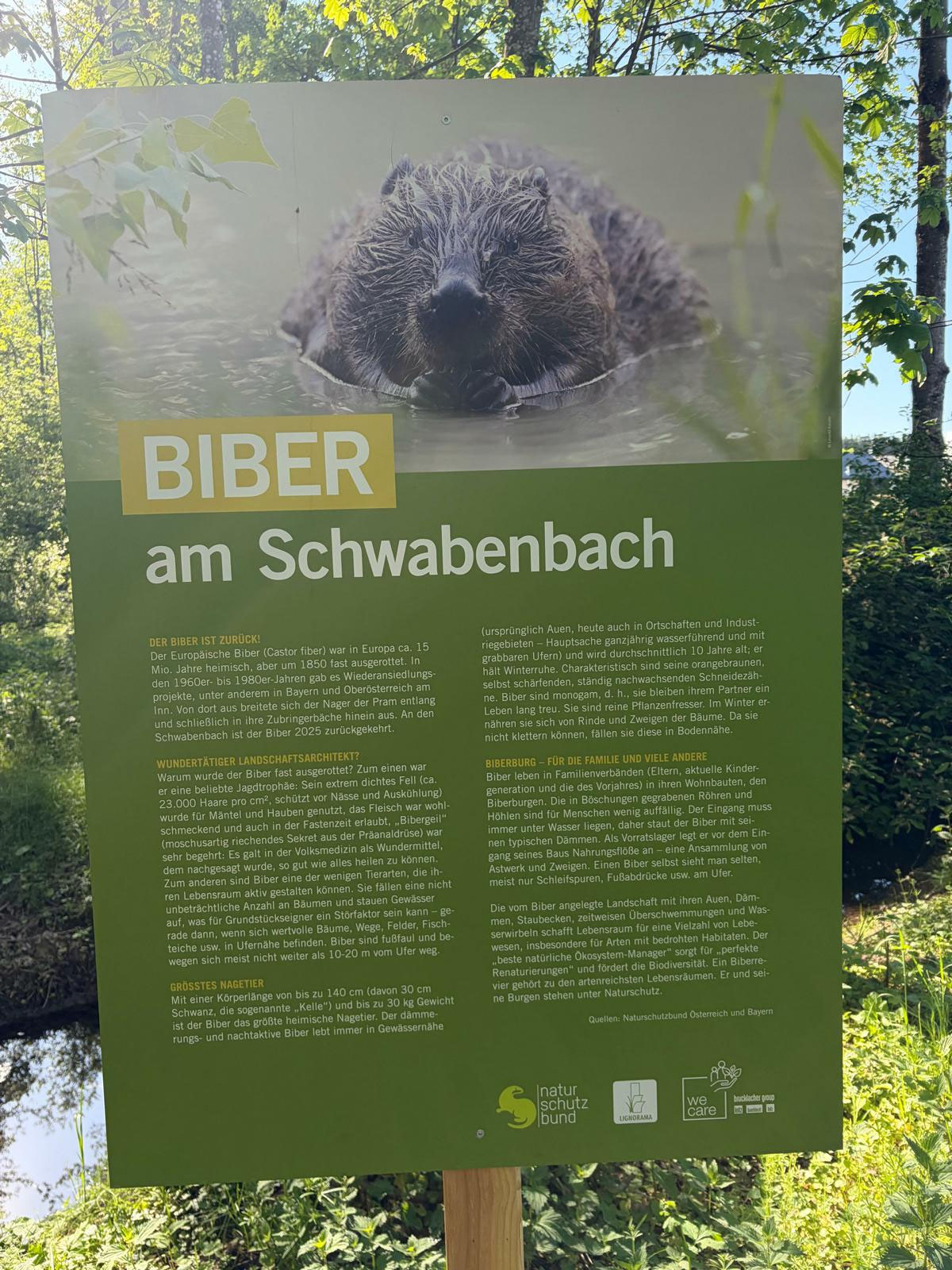 Volksschule Riedau