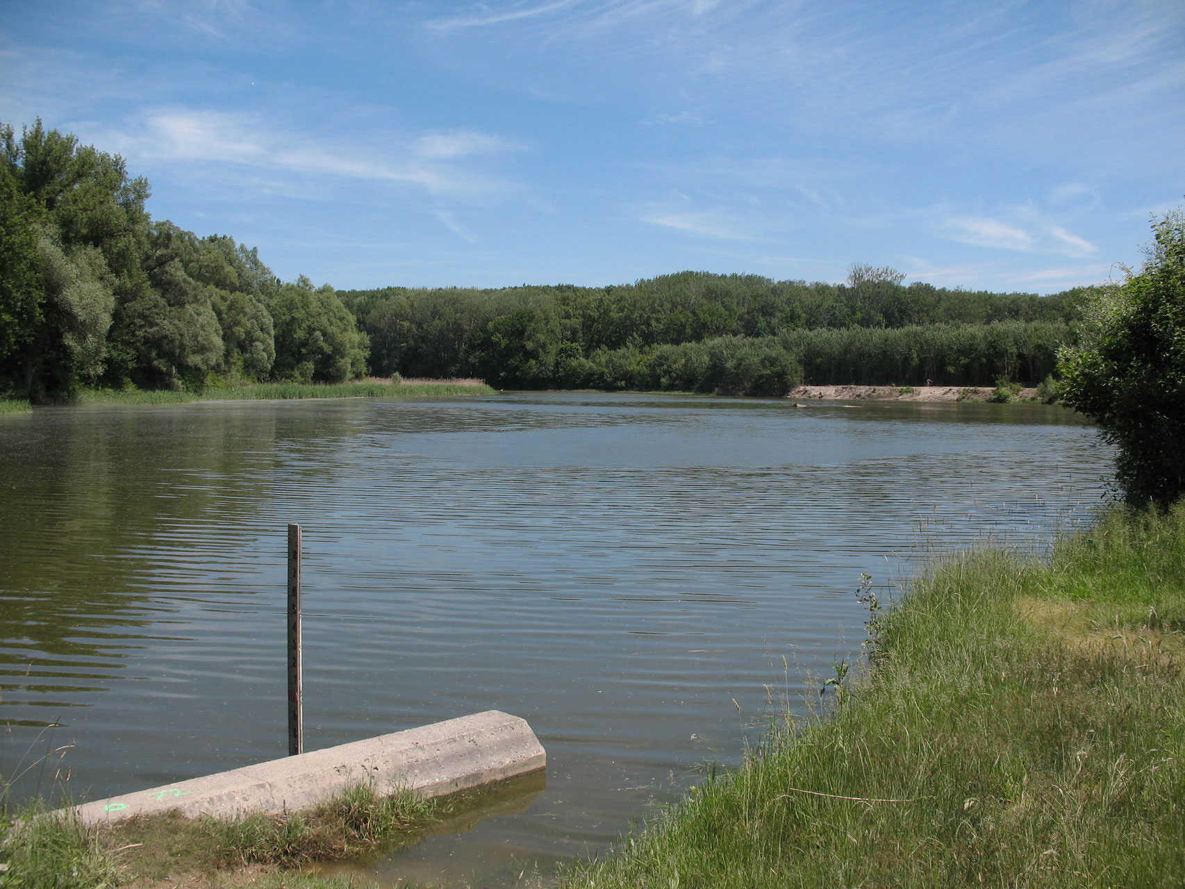 Fischereiverein Fischamend Angeln in Fischamend Jugend Angeln in Fischamend