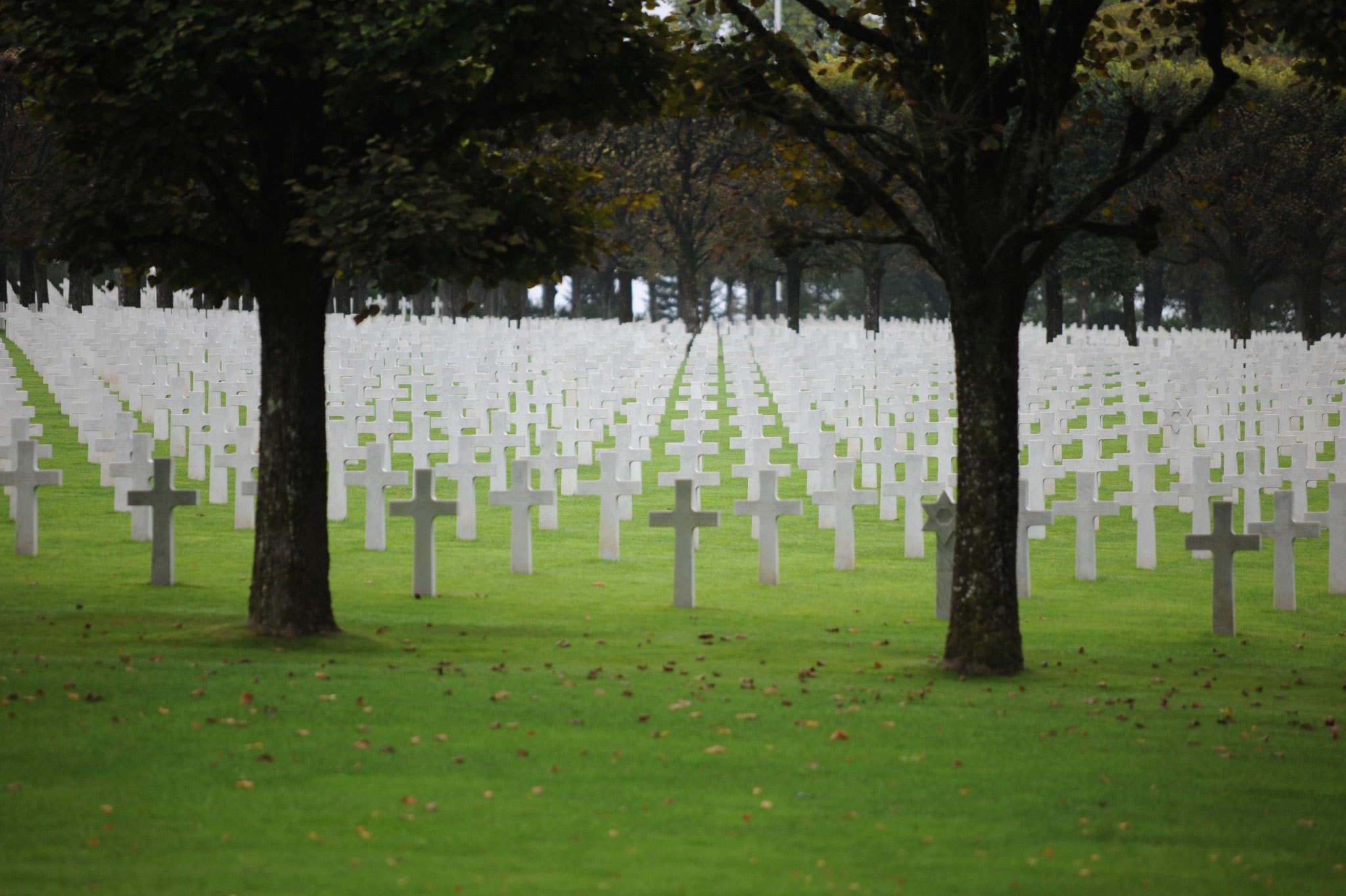 Romagne sous Montfaucon Photos par Dominique Salé