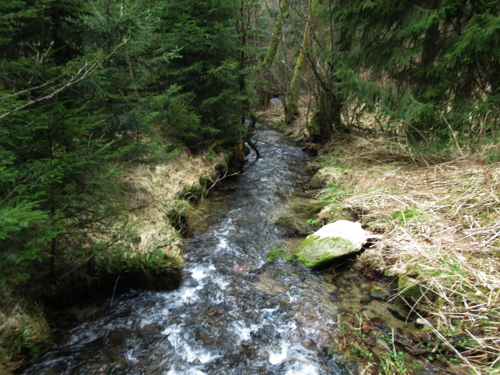 Durchs Rehbachtal frankenwaldsteiglass Webseite!