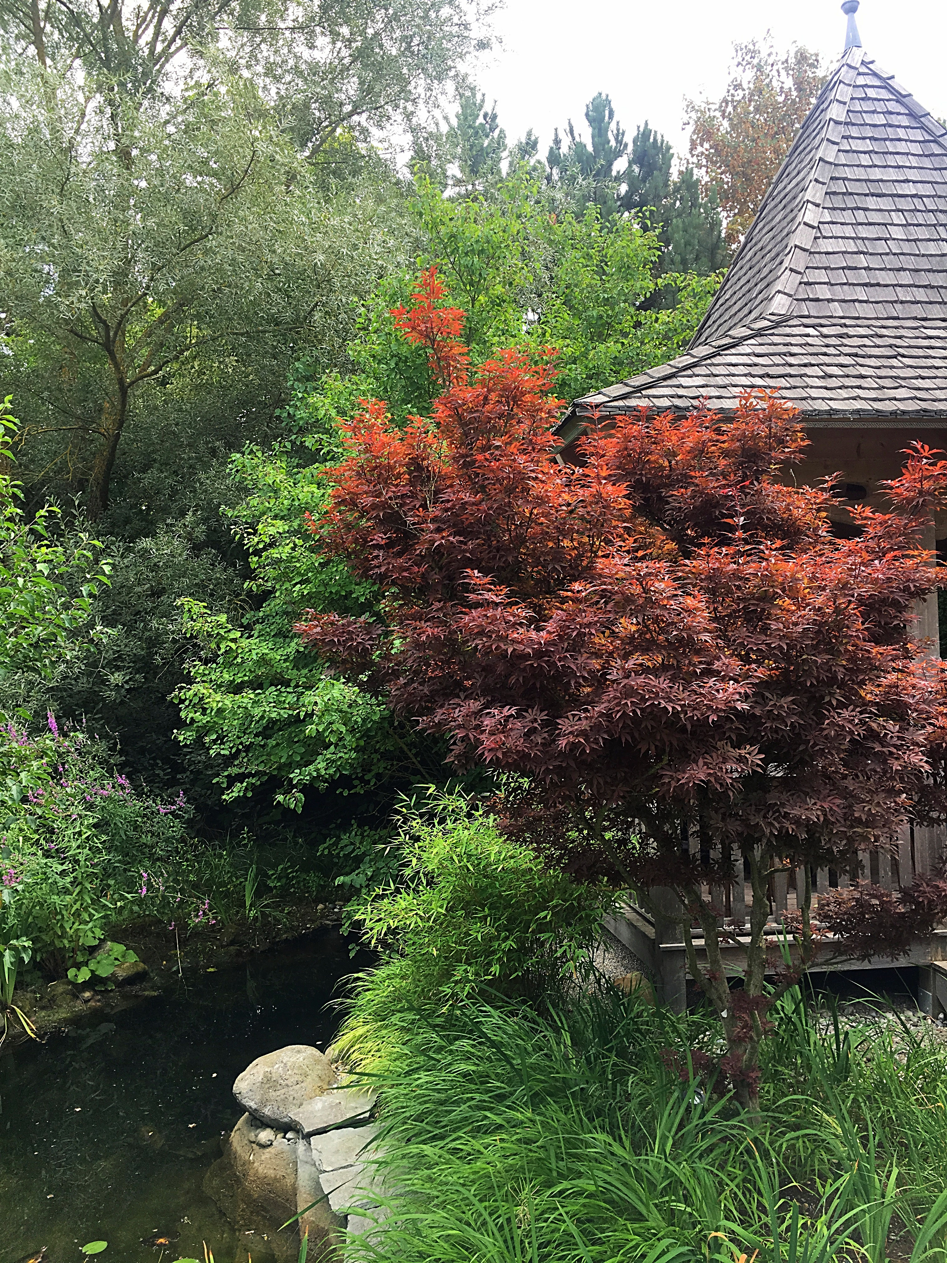 Lotos Garten in Rothenburg ob der Tauber 2018 Obst und