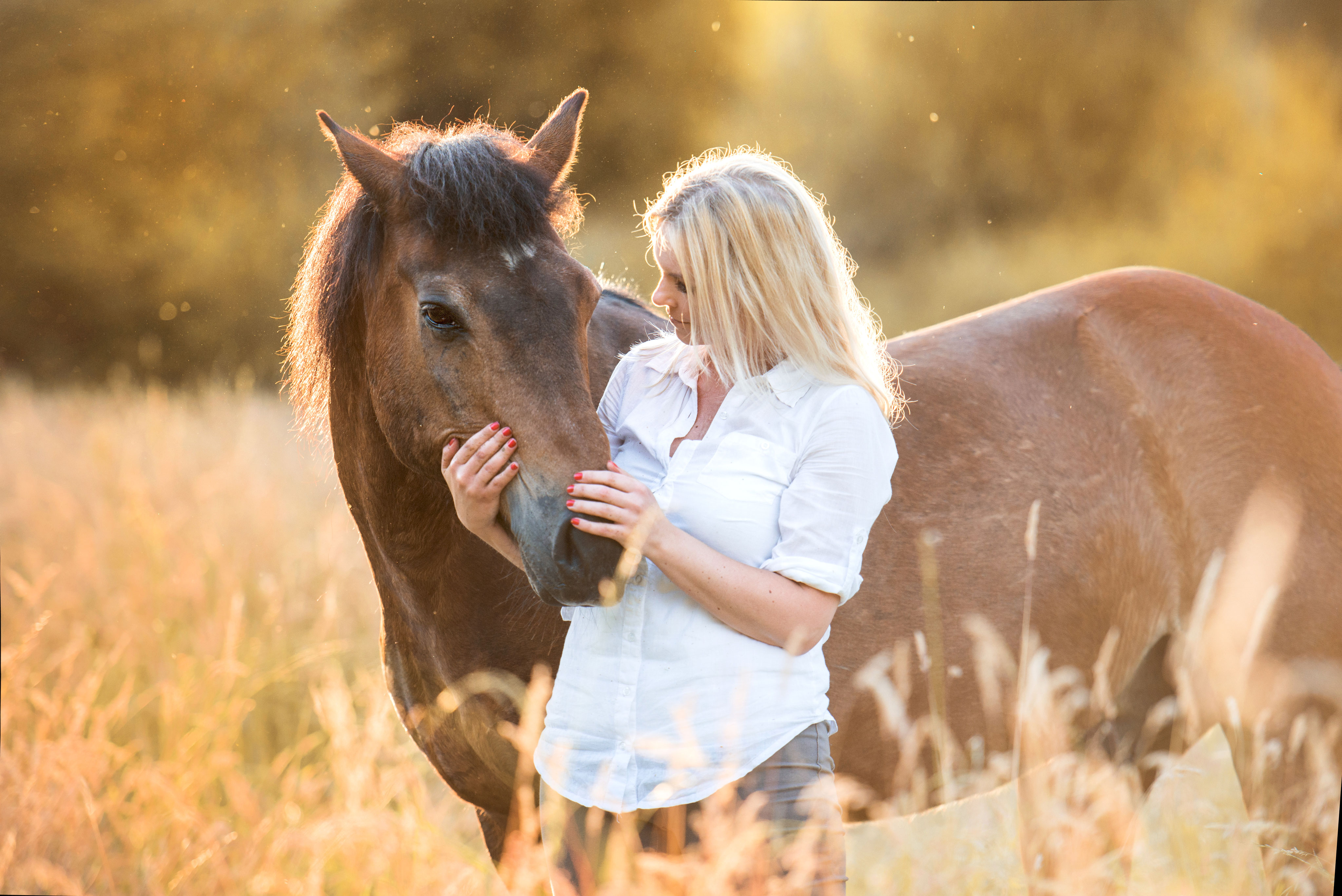 Mein pferd kennenlernen