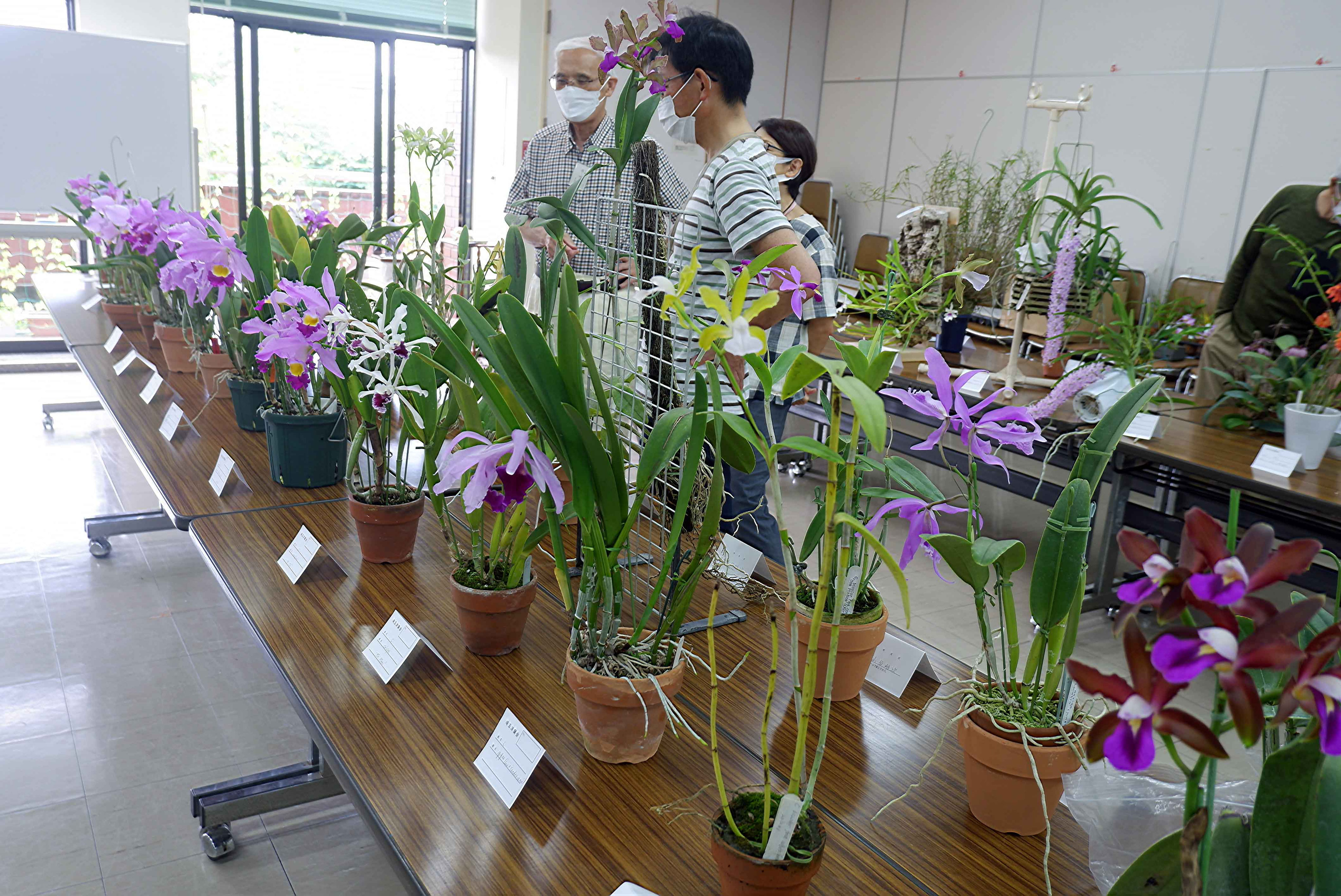 2022年9月 - 埼玉洋蘭会