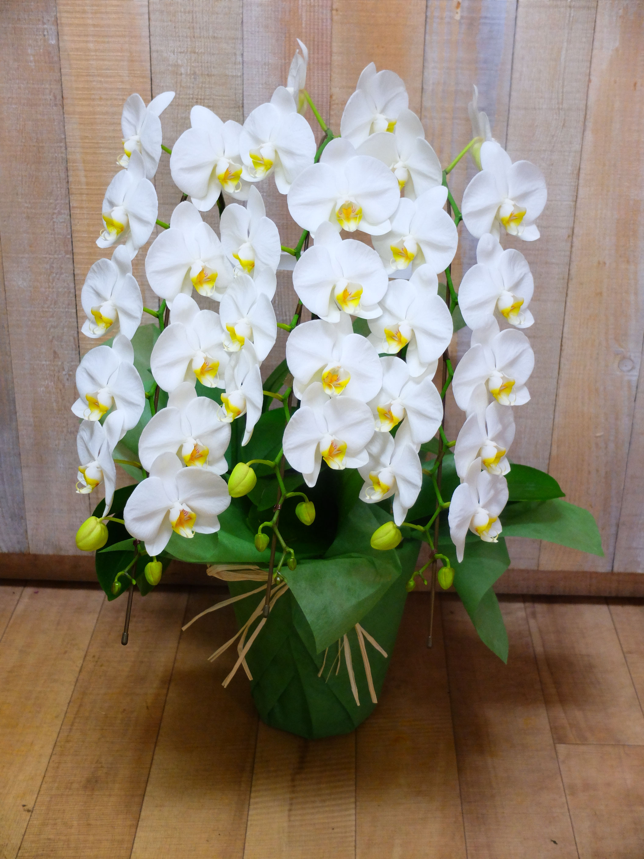 New arrival. 』 - 中央区日本橋人形町 TEL＆FAX 03-5614-0774