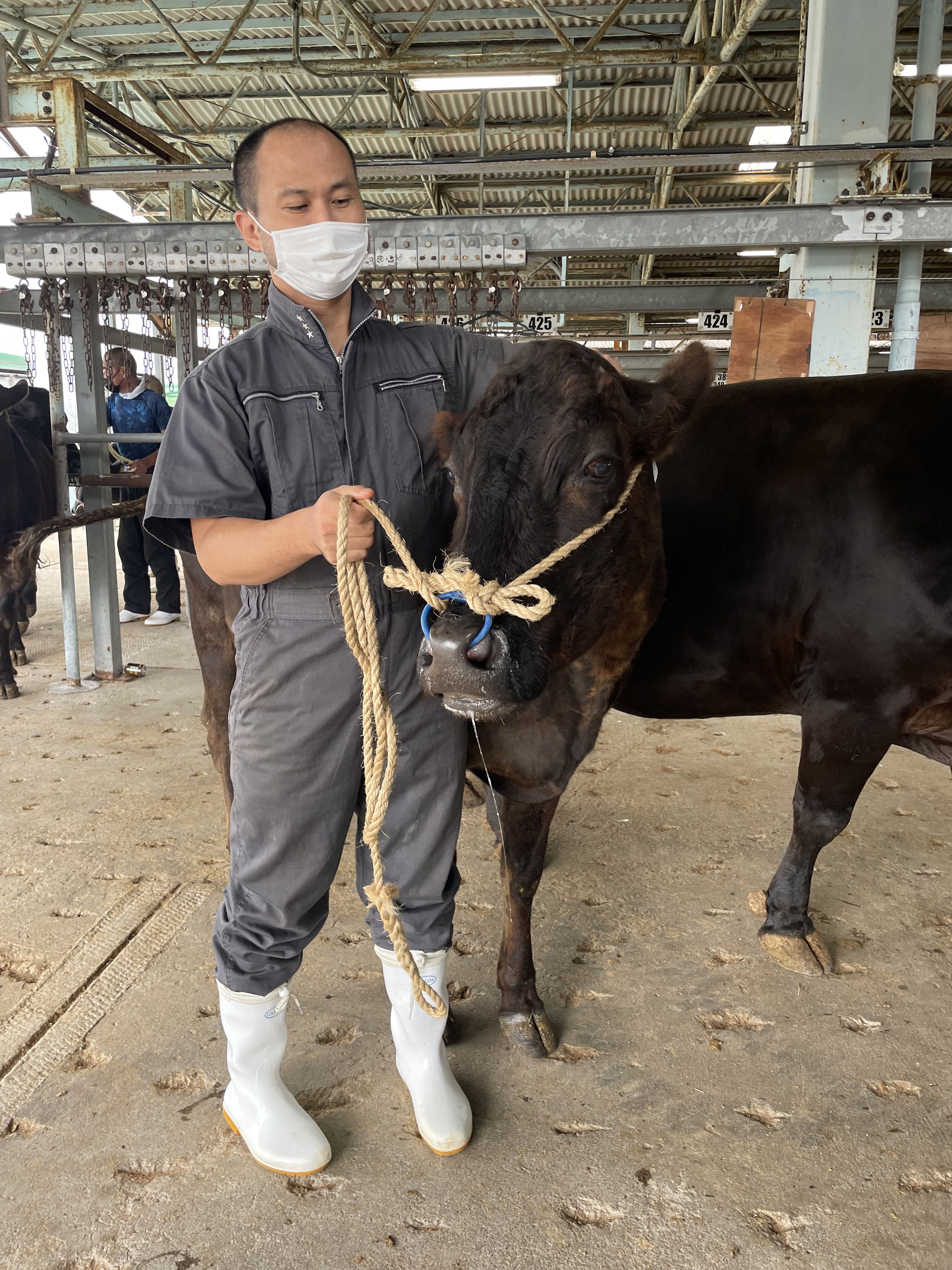 動物臨床繁殖学 2022 - 宮崎大学 産業動物臨床繁殖学研究室（リンパン）