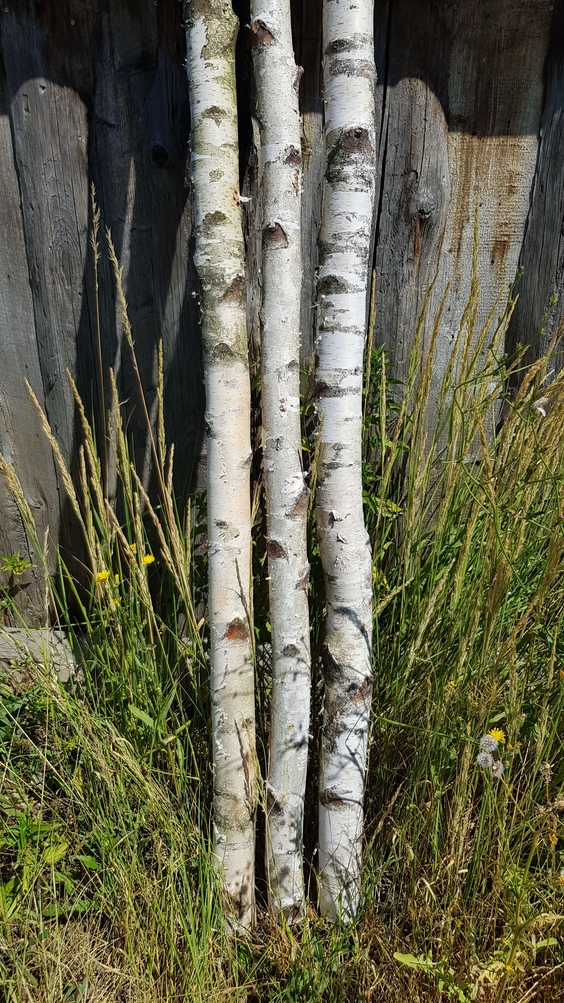 blumenksten 50cm Pflanzkbel aus Stahl, rechteckig, 140 cm x 40 cm x 50 cm