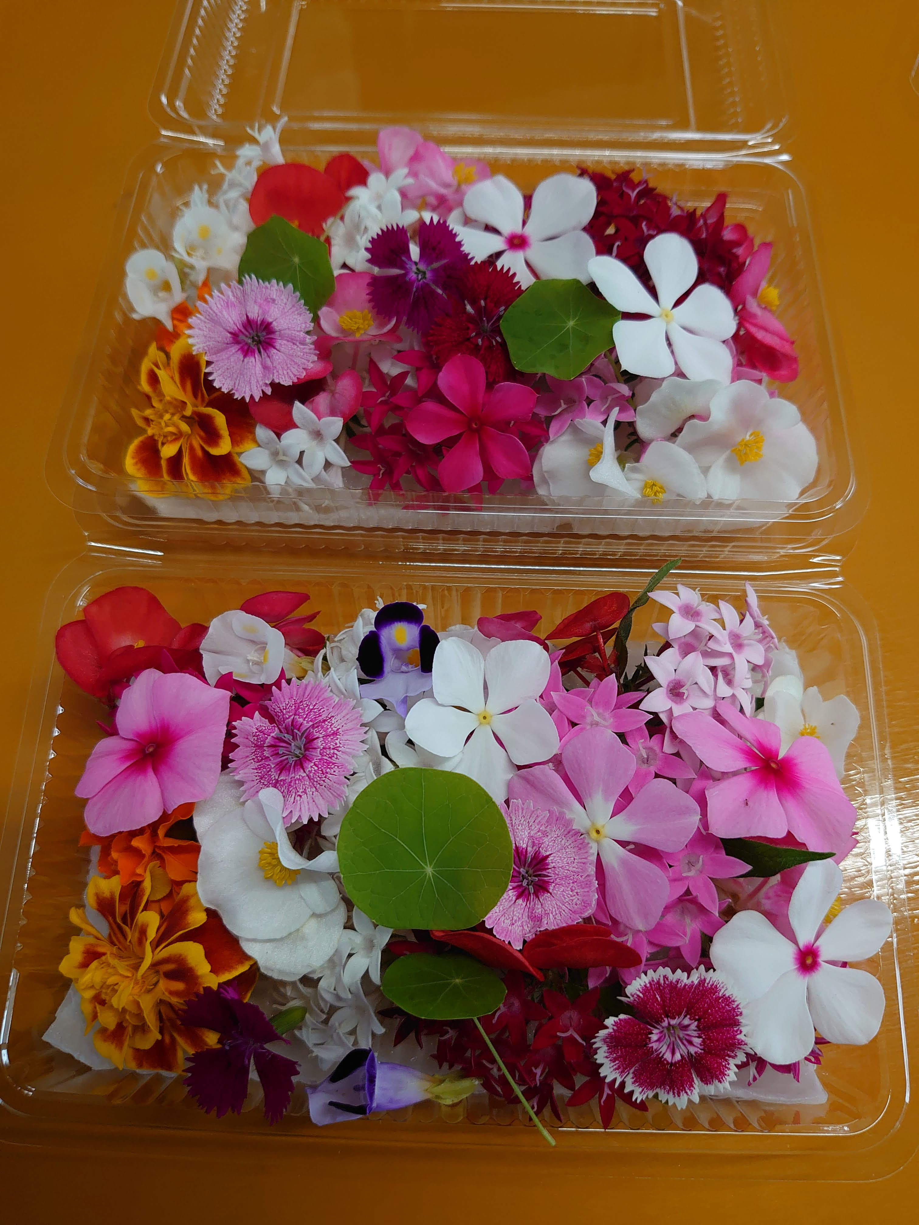 取扱い商品 - 鳥取市の花屋 フラワーガーデンひだまりのホームページ