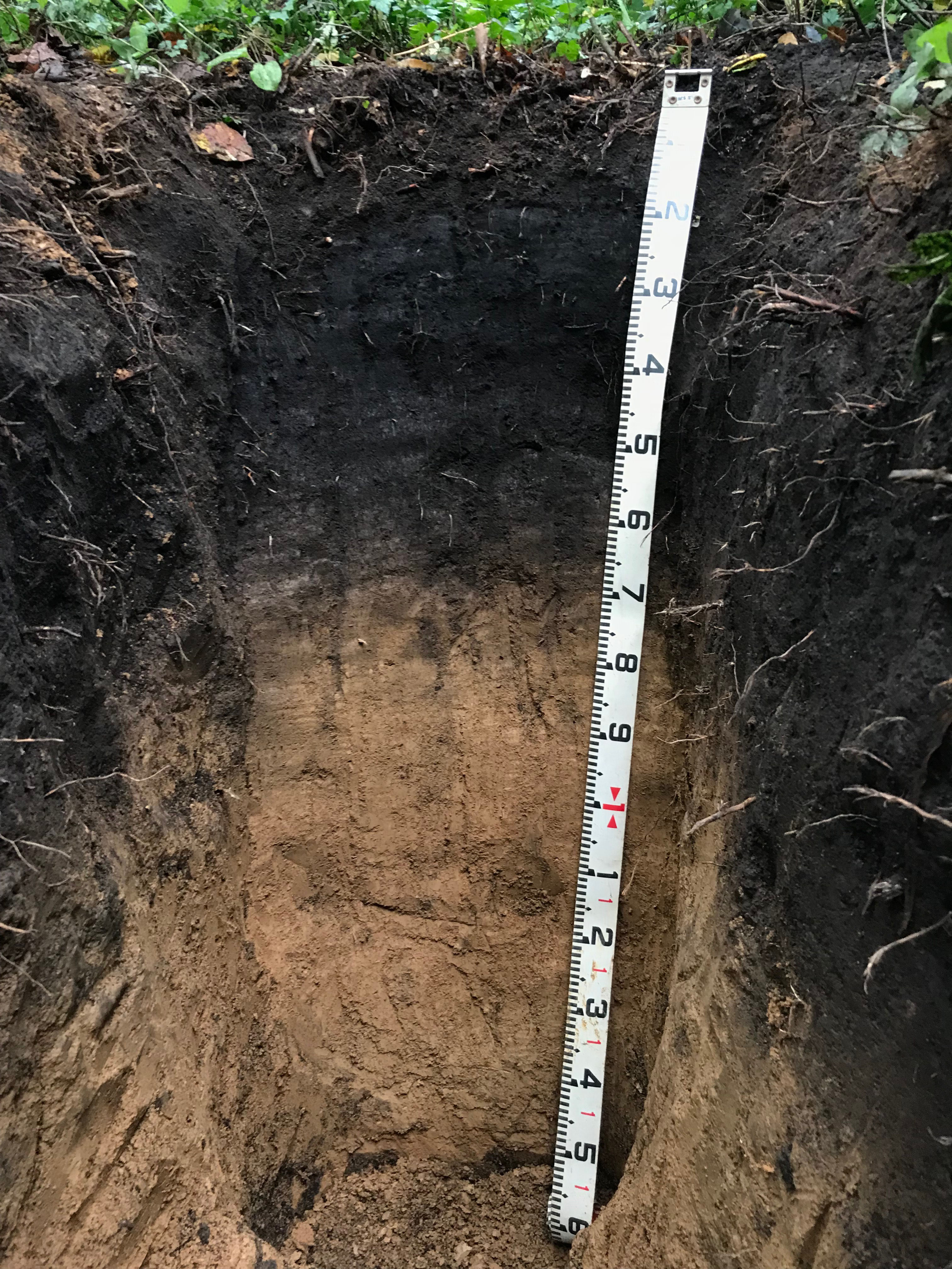 北陸地方に分布する多種多様な土壌資源の包括的理解 石川県立大学 土壌環境学研究室