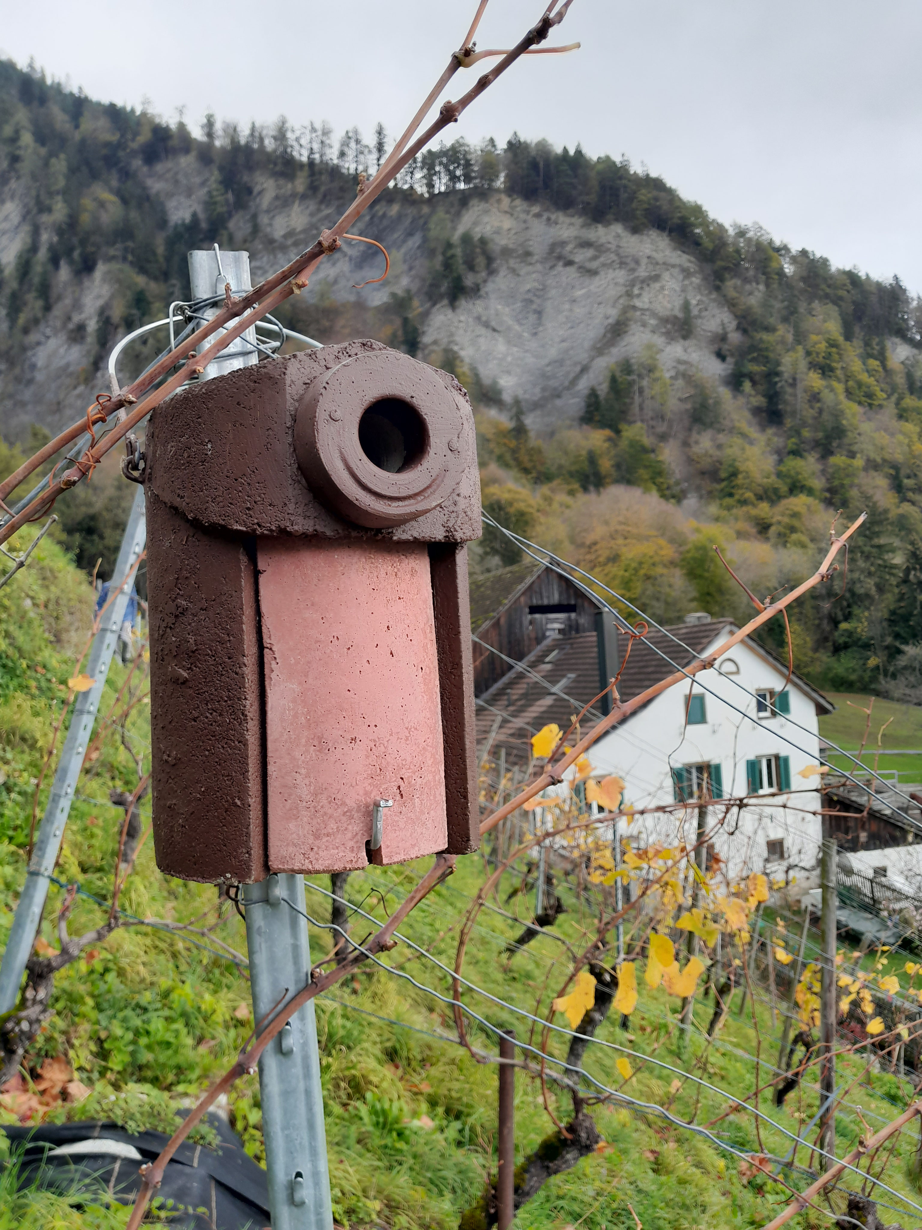 Vogelschutz Landquart Monika Zai