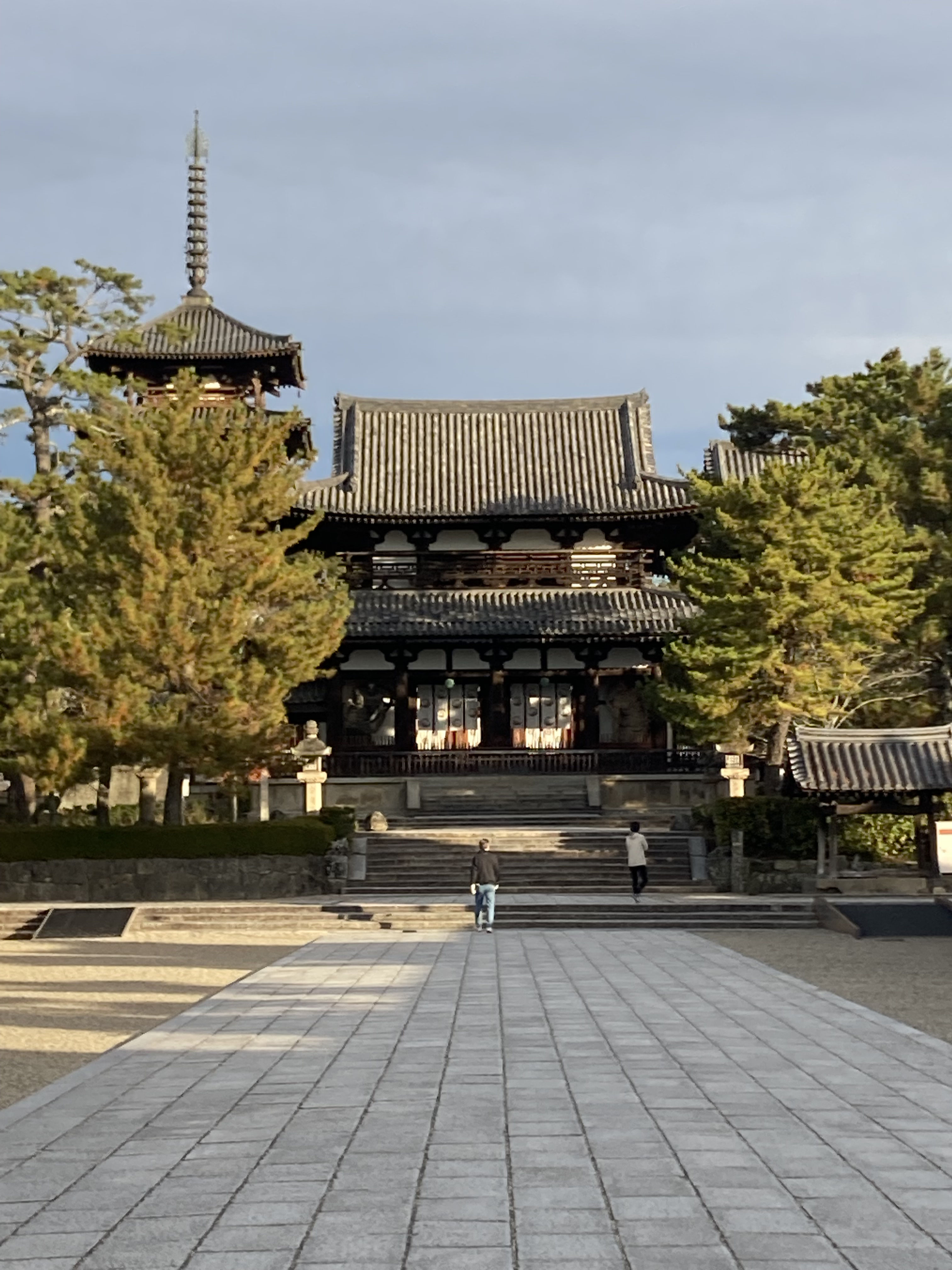 法隆寺・唐招提寺・薬師寺 - IJCEE