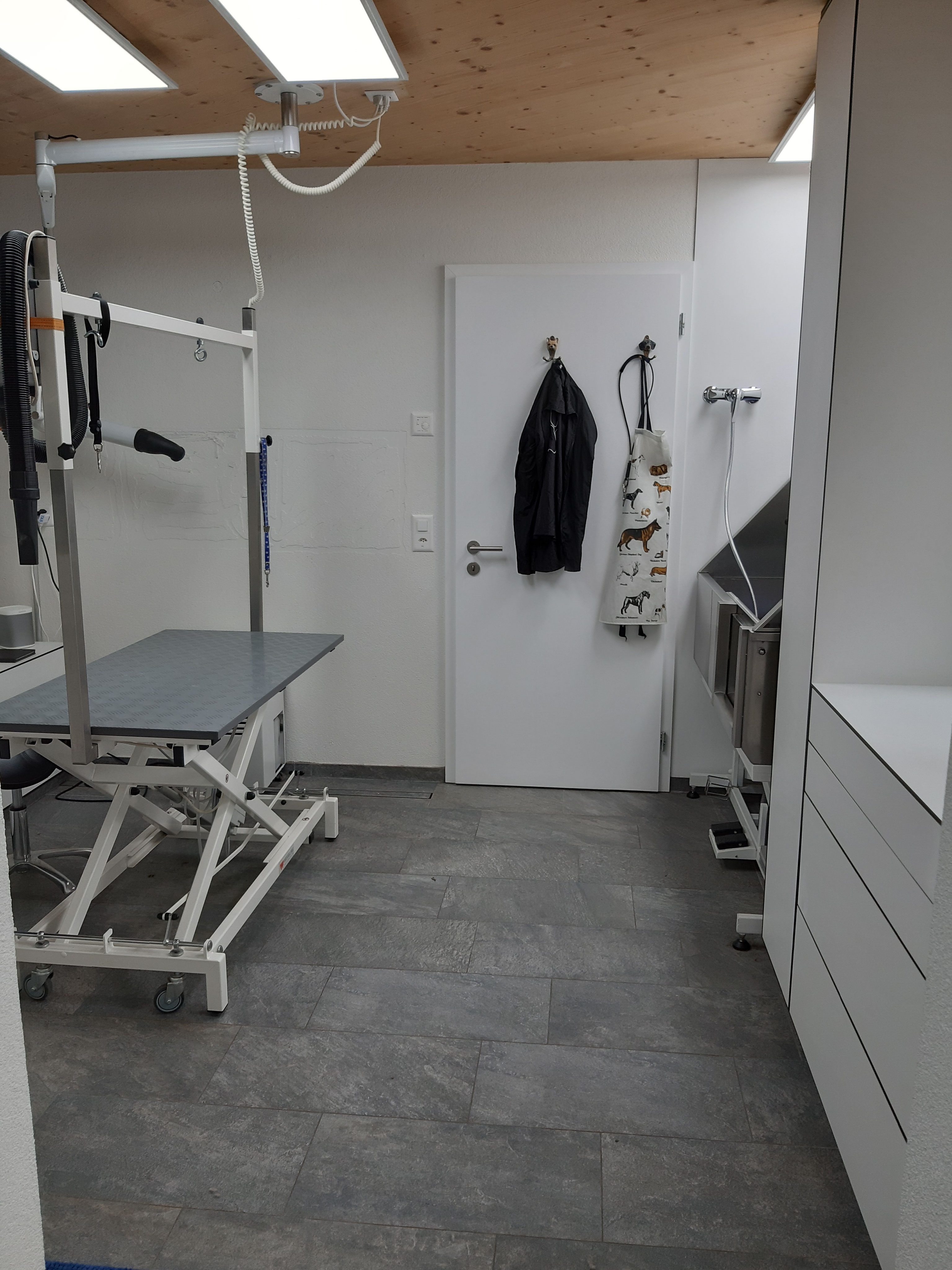 Hundesalon - Hundeparadies Elmer Hundesalon, Hundepflege,Hundebetreuung ...