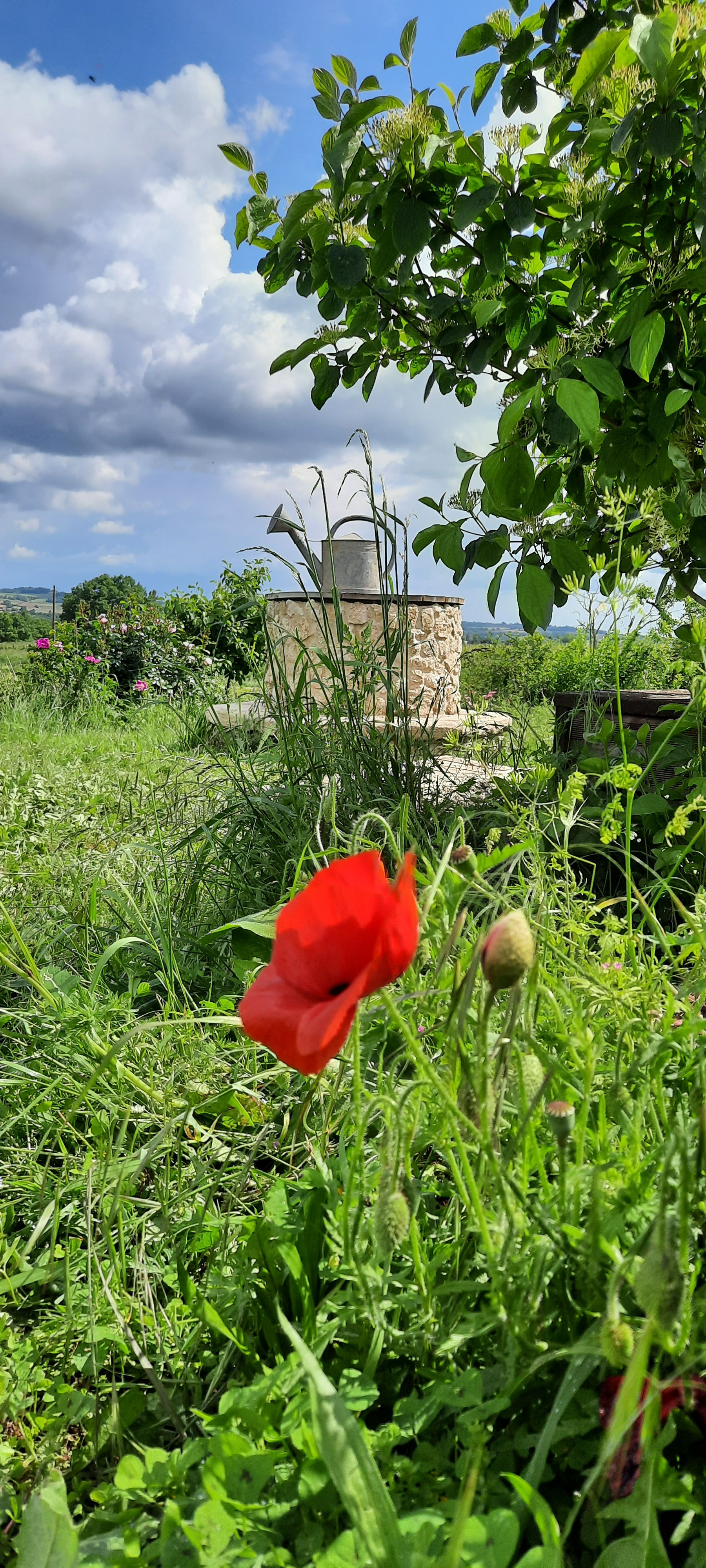 Roulotte L'âne au salon en Armagnac