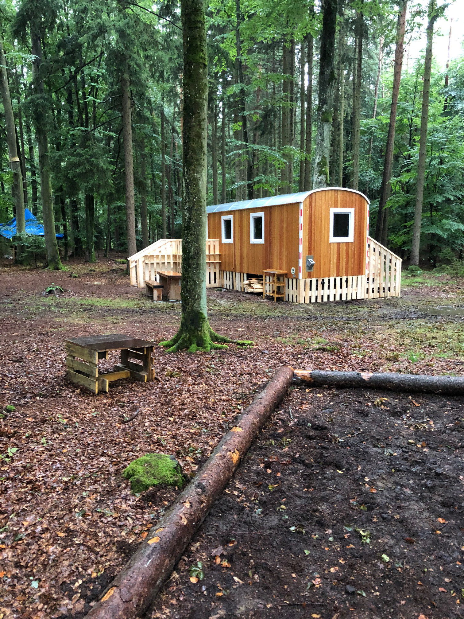 Waldkindergarten kleine Füchse e. V. Waldkindergarten kleine Füchse e. V.