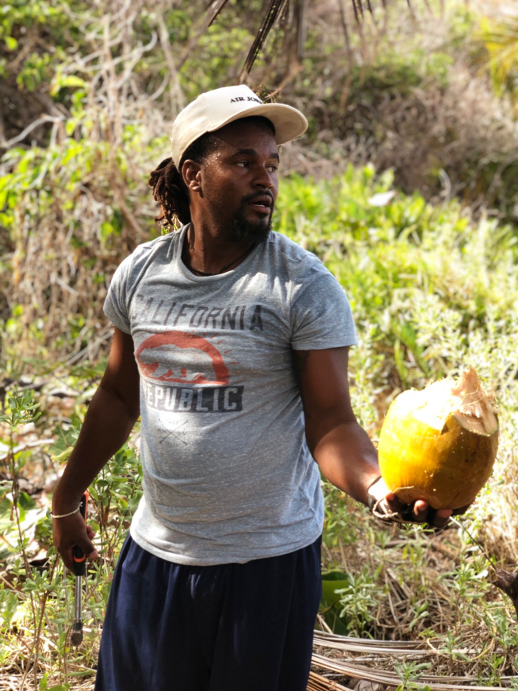 Camping At Playa Fronton Las Galeras Carmen Republicadominicana