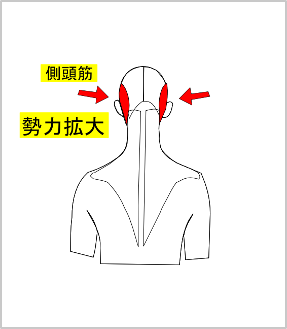 顔が長い 頭頂が尖がる なぜ顔が長くなるのか 生まれつきなのか 諦めなければ顔は短くできます