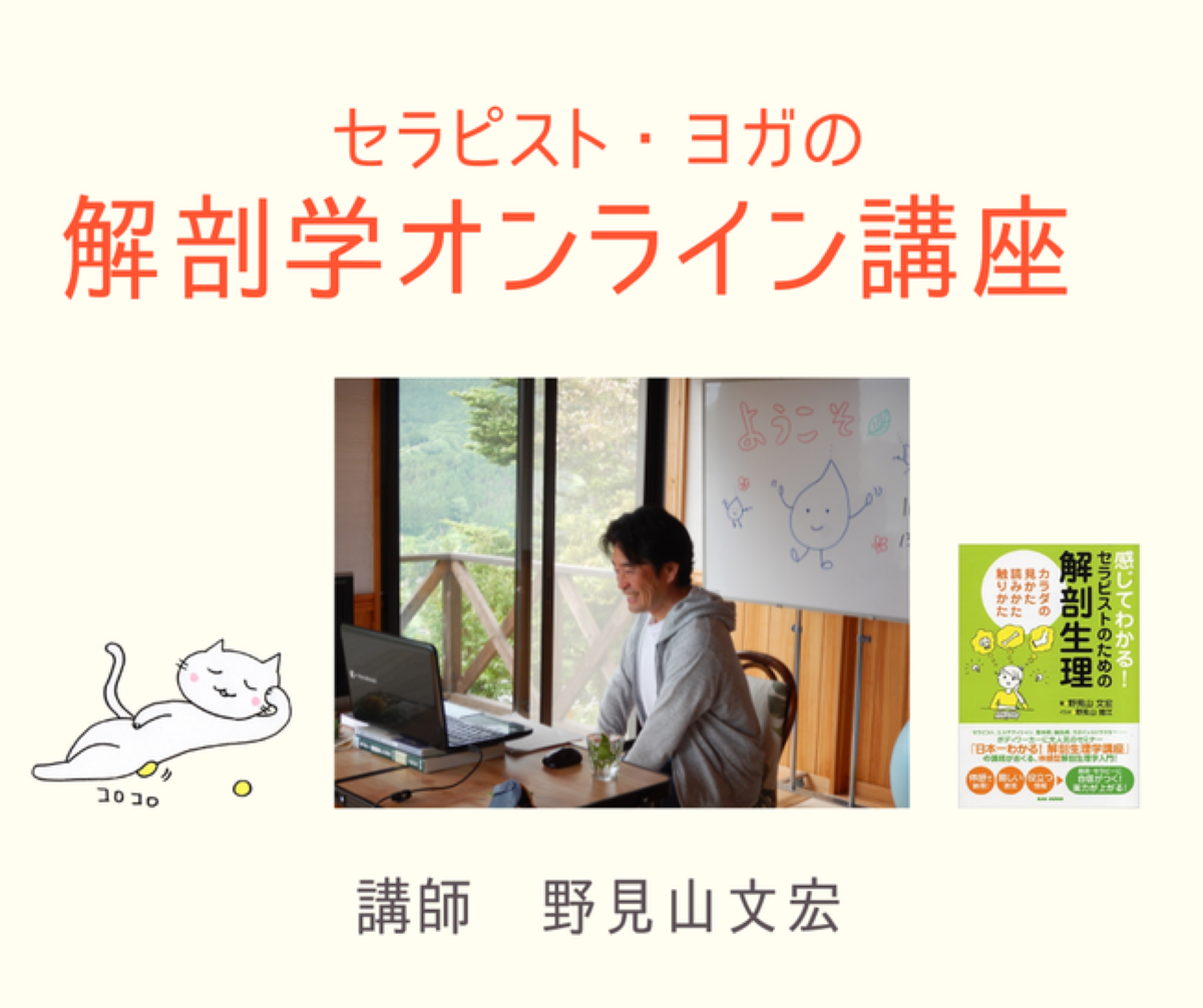 これだけは押さえておきたい 解剖生理学講座DVD セラピスト必見