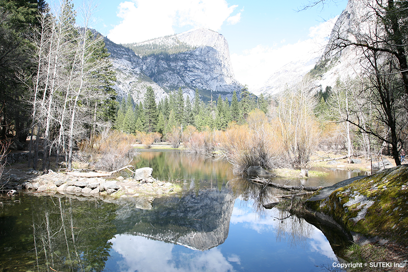 ヨセミテ国立公園 Yosemite National Park 株式会社ステキ ｜