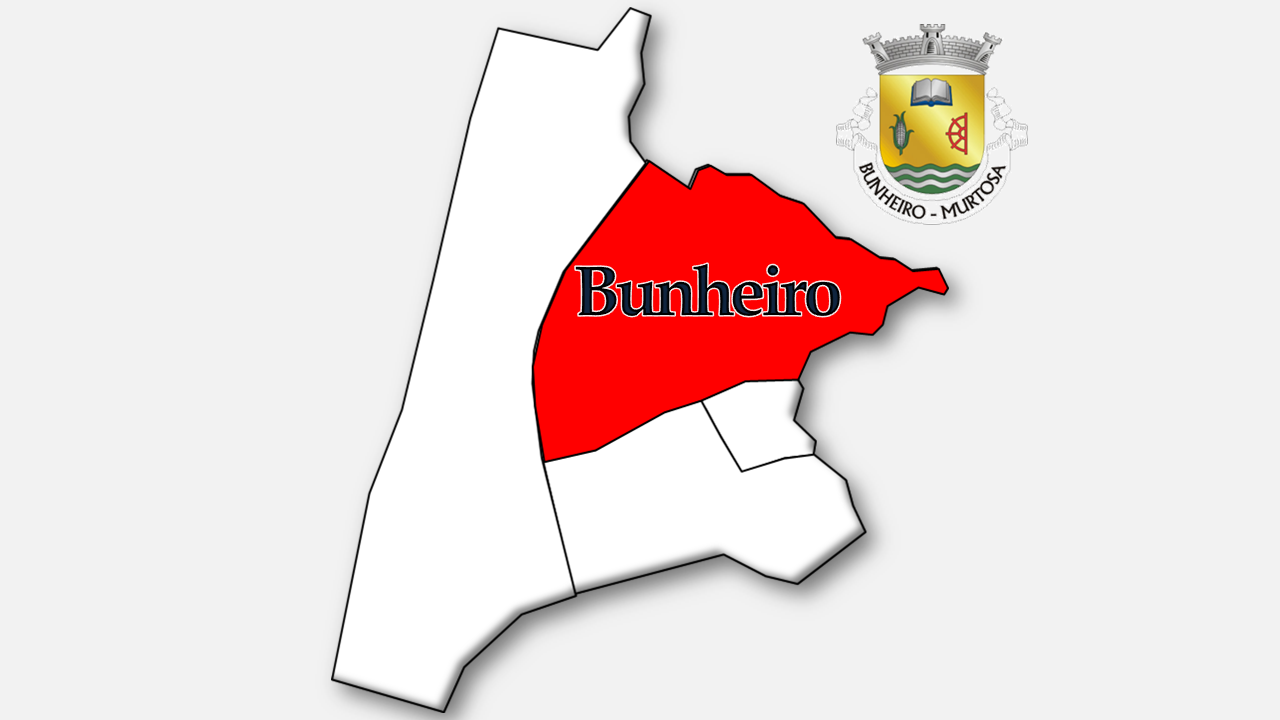 FREGUESIAS DO CONCELHO DE MURTOSA Distrito de Aveiro