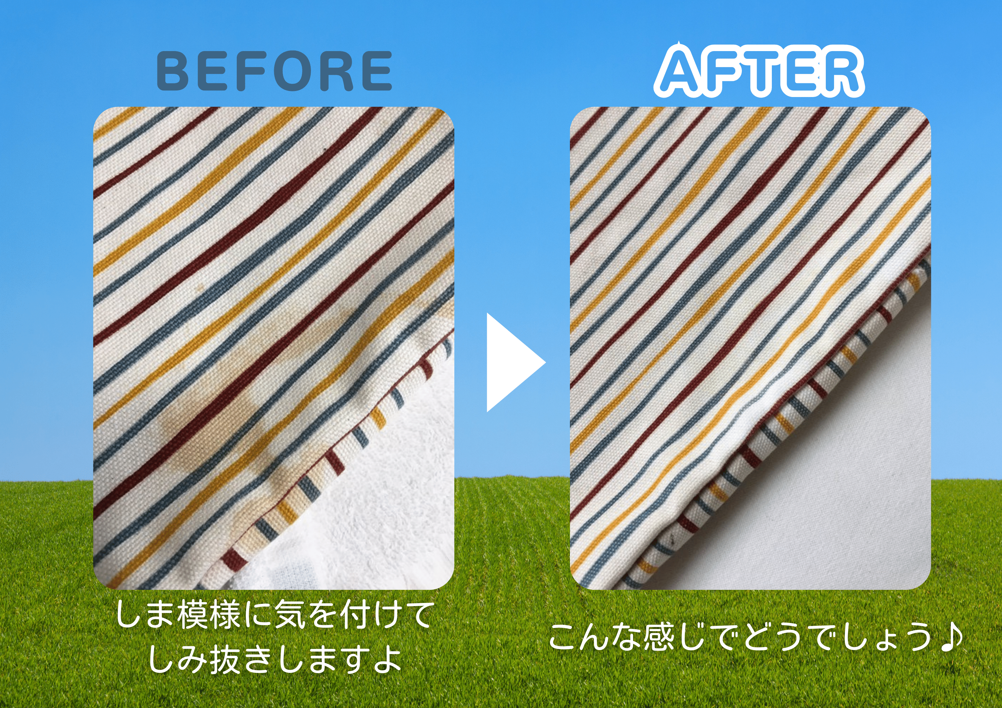 谷口ドライクリーニング店 - 谷口ドライクリーニング店【ぴっぷの身近