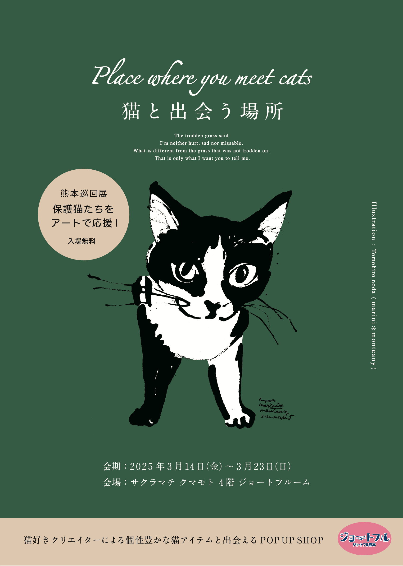 Place where you meet cats 〜猫と出会う場所〜 熊本巡回展2025 Place where you meet cats 〜猫と出会う場所〜 熊本巡回展2025