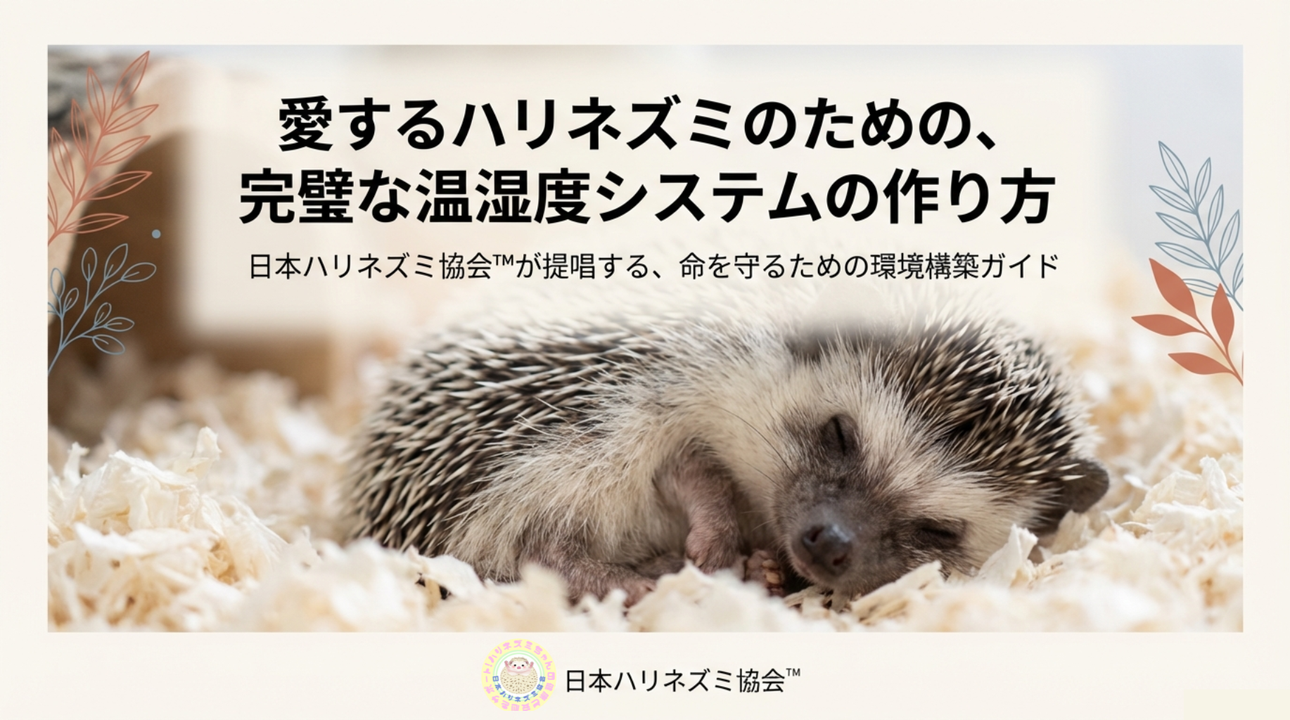 ハリネズミの温度管理 - 日本ハリネズミ協会™