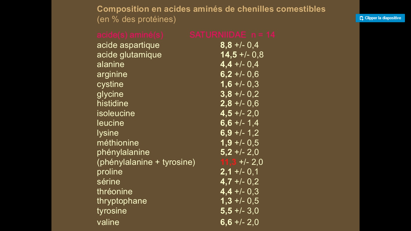 TRY INSECTS IN YOUR PLATES! - Site des Sciences au lycée Chrestien de ...