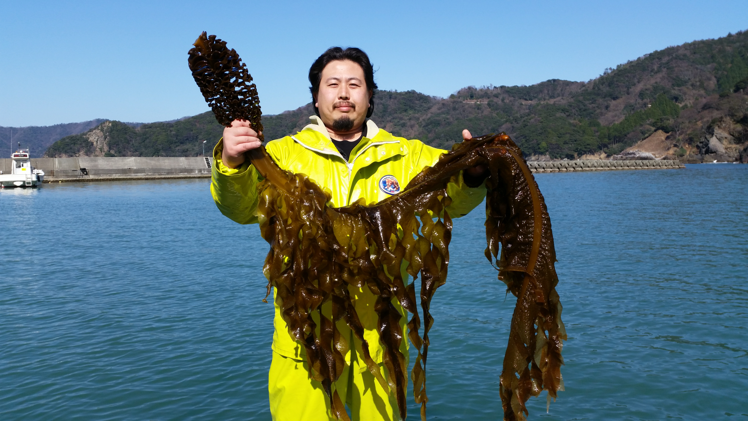 かどのさん家のわかめ - 国産鯖と無農薬糠の本づくり鯖へしこ | 通販