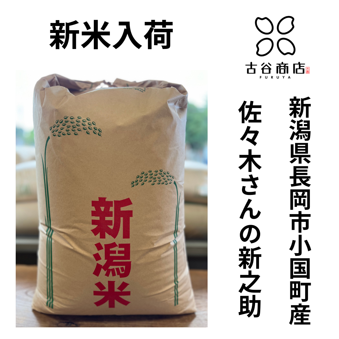 ぱぴ助★おまとめ商品 2023/10/12新米入荷!! 新潟県産新之助・富山県産コシヒカリ