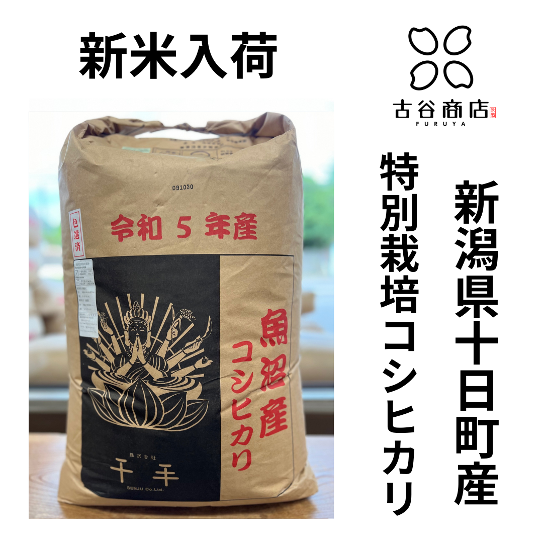 2023/9/30新米入荷!! 魚沼産コシヒカリ・新潟産コシヒカリ・秋田 2023/9/30新米入荷!! 魚沼産コシヒカリ・新潟産コシヒカリ・秋田