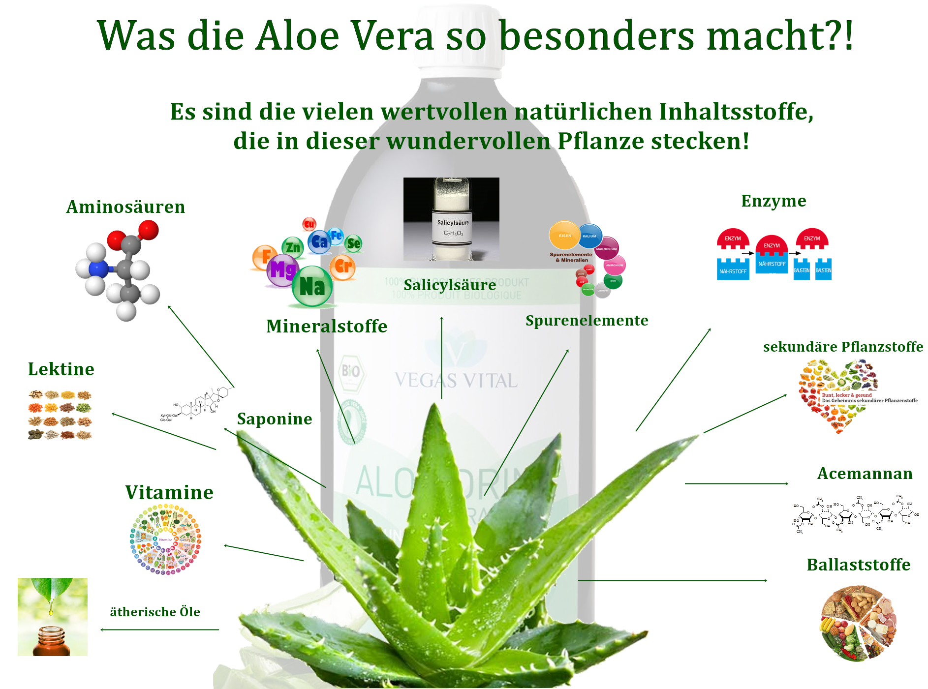 aloe vera creme action Superdefense: Dreifach wirksame Aloe Vera Feuchtigkeitscreme | Atlantia