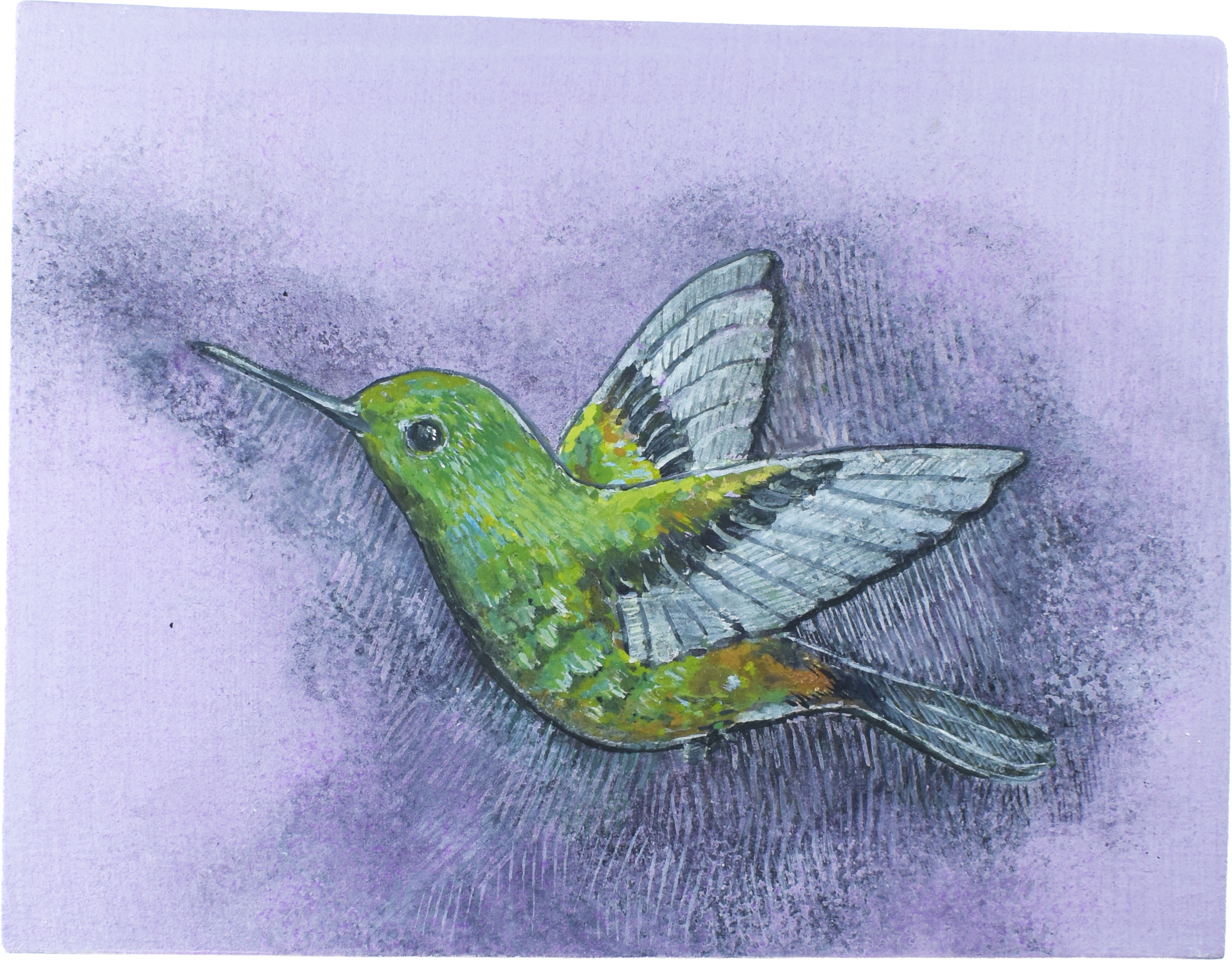 ハチドリと花のアクリル画 Hummingbird 原画　アート Amazon.co.jp: カラフル 鳥 花 枝 植物 アートプリント、4枚セット (8