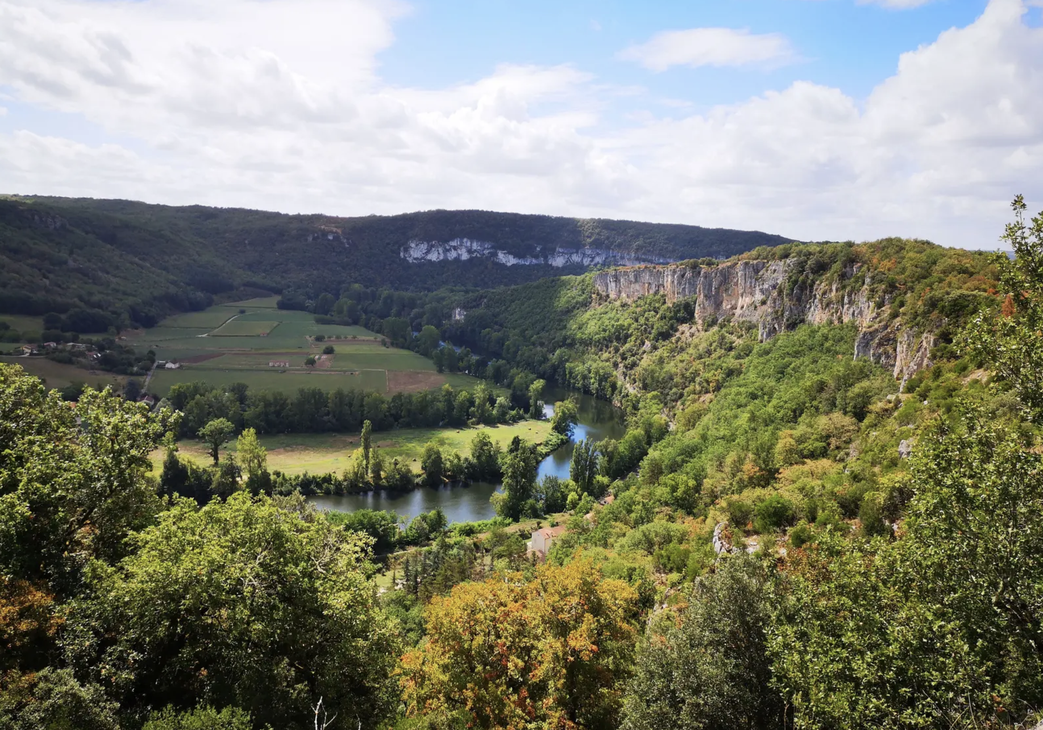 The T\u0026C; 50: Modern Swans, image size:2080x1456