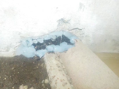 ネズミ駆除　床下配管閉鎖
