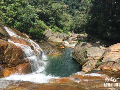 Knuckles Mountains, Sri Lanka, Wildlife, Conservation, Elephants, Safari, Leopard, Adventure, Lodge, Camp, Hike, Trekking, Hiking, Travelsrilanka, holiday, Elephant, Asian Elephant, Nationalpark, Guiding, Wildlife, Waterfall, Mountains