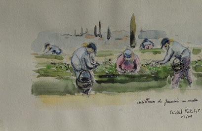 CEUILLEUSES DE JASMIN -GRASSE 23.5 x 18