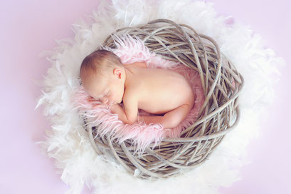 Bild Baby im Nest