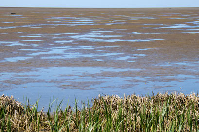 LANDSCHAFTEN NORDSEE, Das Wattenmeer