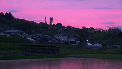 夕焼け