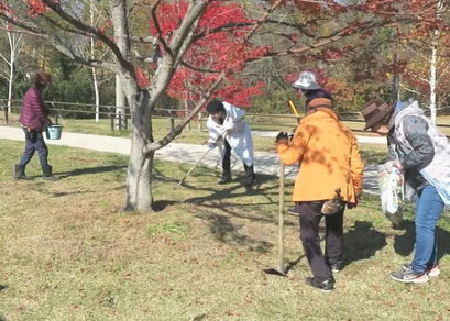 湯川ふるさと公園の白樺に施肥