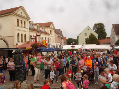 Herbstfest Typisierungsaktion, zahlreiche Gäste bevölkerten den Nienburger Marktplatz