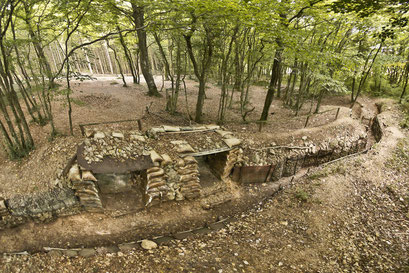 Tranchée française au Bois Brûlé sur le Saillant de Saint-Mihiel, guerre 14-18 