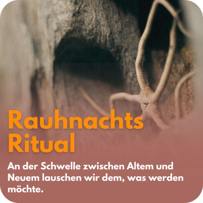 Nahaufnahme von verwittertem Holz und einer geschwungenen Naturfaser in warmen Erdtönen. Darüber steht: „Rauhnachtsritual – An der Schwelle zwischen Altem und Neuem lauschen wir dem, was werden möchte.“
