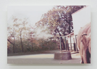 “Background #57” 2023, oil on photograph, 8.9×12.7cm