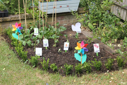 How to create a child's garden to grow there own produce - flowerpotman landscape gardener