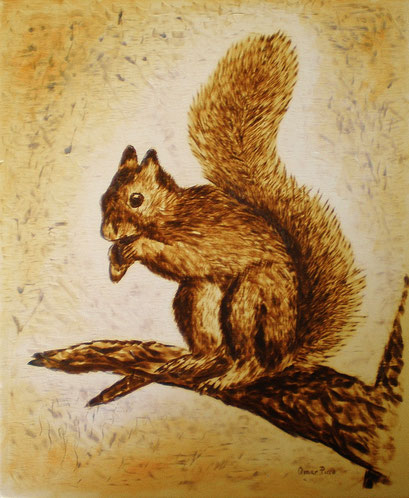 Lo scoiattolo (Pirografia acquerellata)
