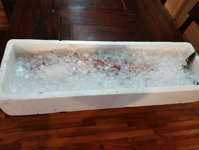 そうめんちりは普通は鶏のお出汁ですが、今日は鰆を使います