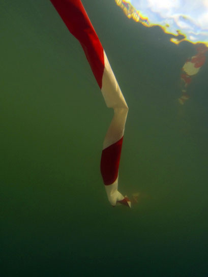 Serpent de mer n°14, photographie de Laurent Valera, 2017