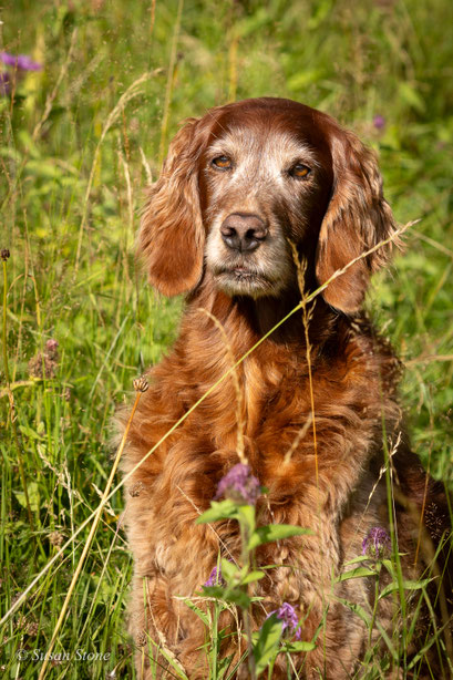 Annie mit 12 Jahren