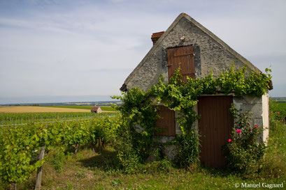 vineyard-lodge-Bléré-Loire-Valley-wine-tourism-wine-tours-Manuel-Gagnard